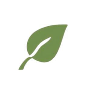 Team Page: Life Community Church